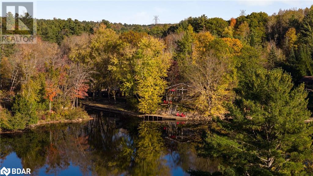 1093 Laidlaw Ave Avenue, Gravenhurst, Ontario  L0K 2B0 - Photo 37 - 40663447