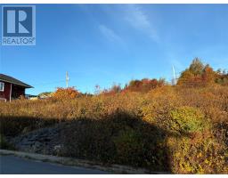 57 Badcock Boulevard, Bay Roberts, Newfoundland & Labrador
