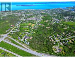 221 Peachytown Road, Coneption Bay South, Newfoundland & Labrador