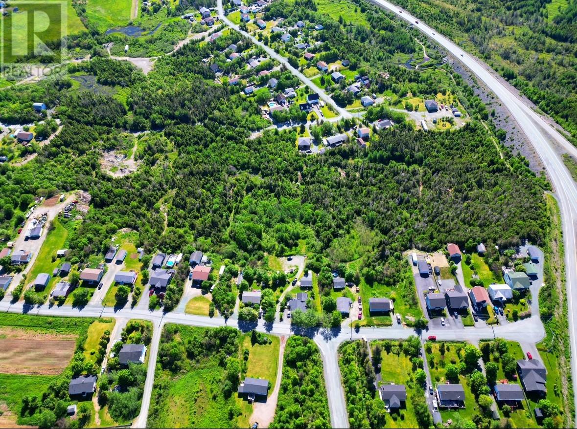 221 Peachytown Road, Coneption Bay South, Newfoundland & Labrador  A1X 7C6 - Photo 12 - 1278478