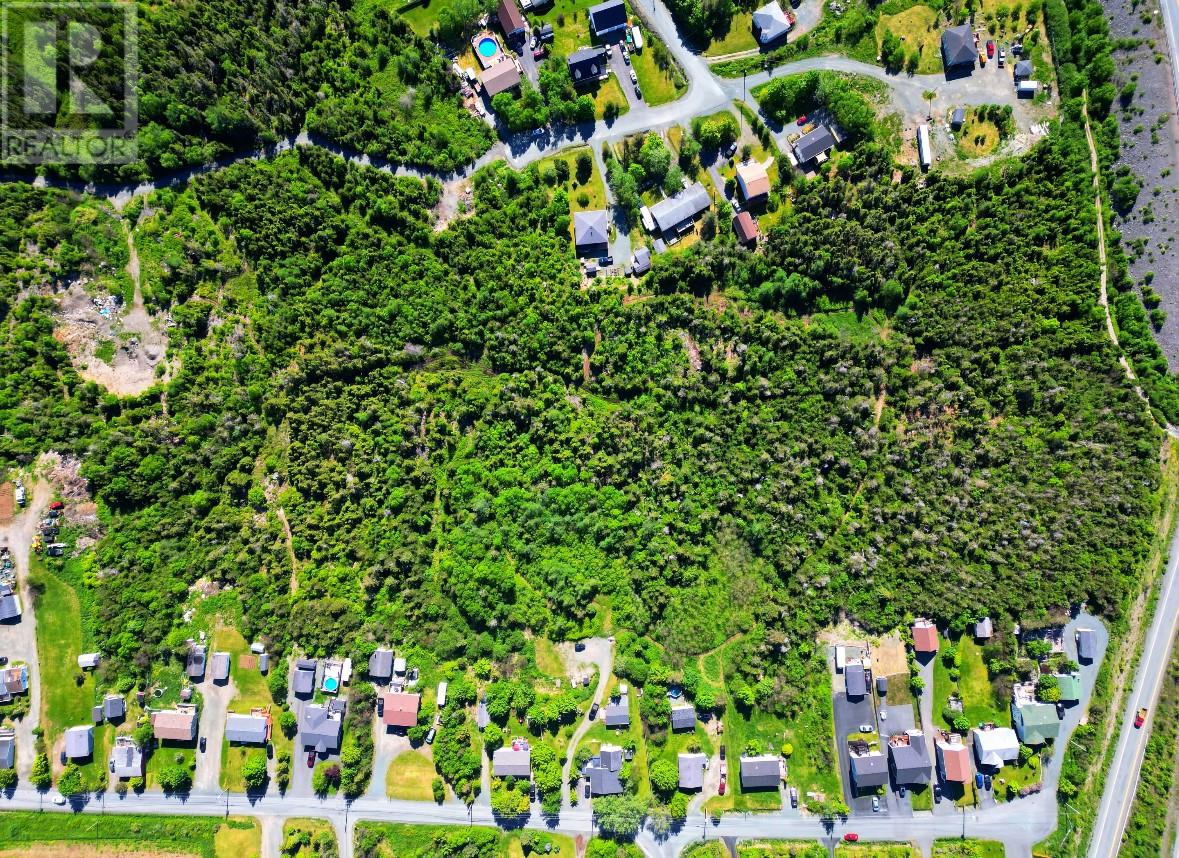 221 Peachytown Road, Coneption Bay South, Newfoundland & Labrador  A1X 7C6 - Photo 3 - 1278478