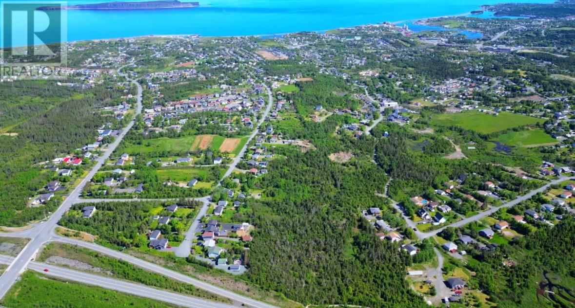 221 Peachytown Road, Coneption Bay South, Newfoundland & Labrador  A1X 7C6 - Photo 4 - 1278478