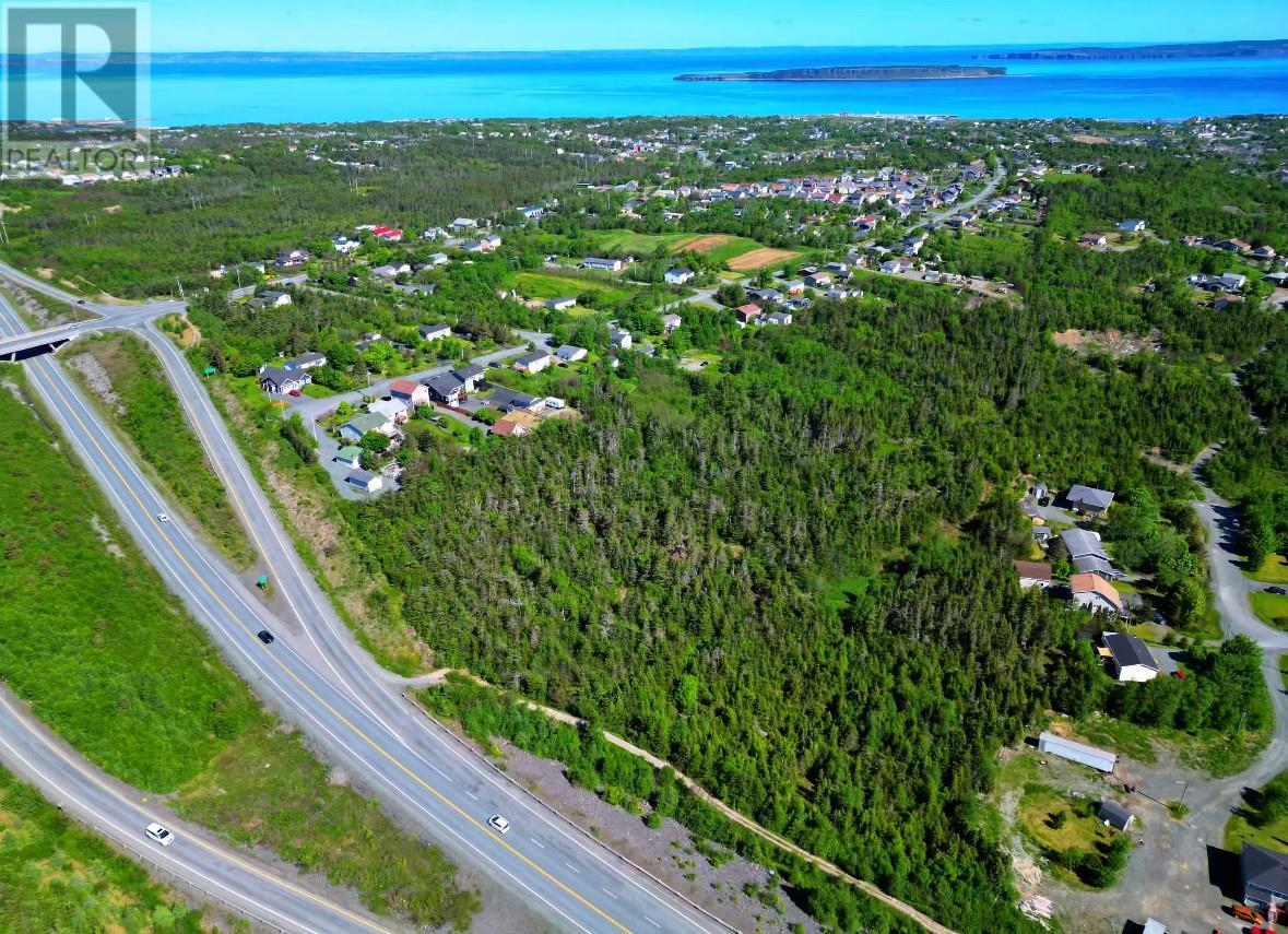 221 Peachytown Road, Coneption Bay South, Newfoundland & Labrador  A1X 7C6 - Photo 8 - 1278478
