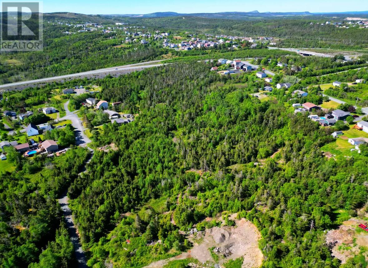 221 Peachytown Road, Coneption Bay South, Newfoundland & Labrador  A1X 7C6 - Photo 9 - 1278478