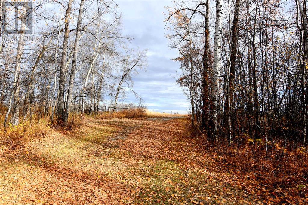 37054 River Road, Rural Red Deer County, Alberta  T4G 0M9 - Photo 9 - A2174690