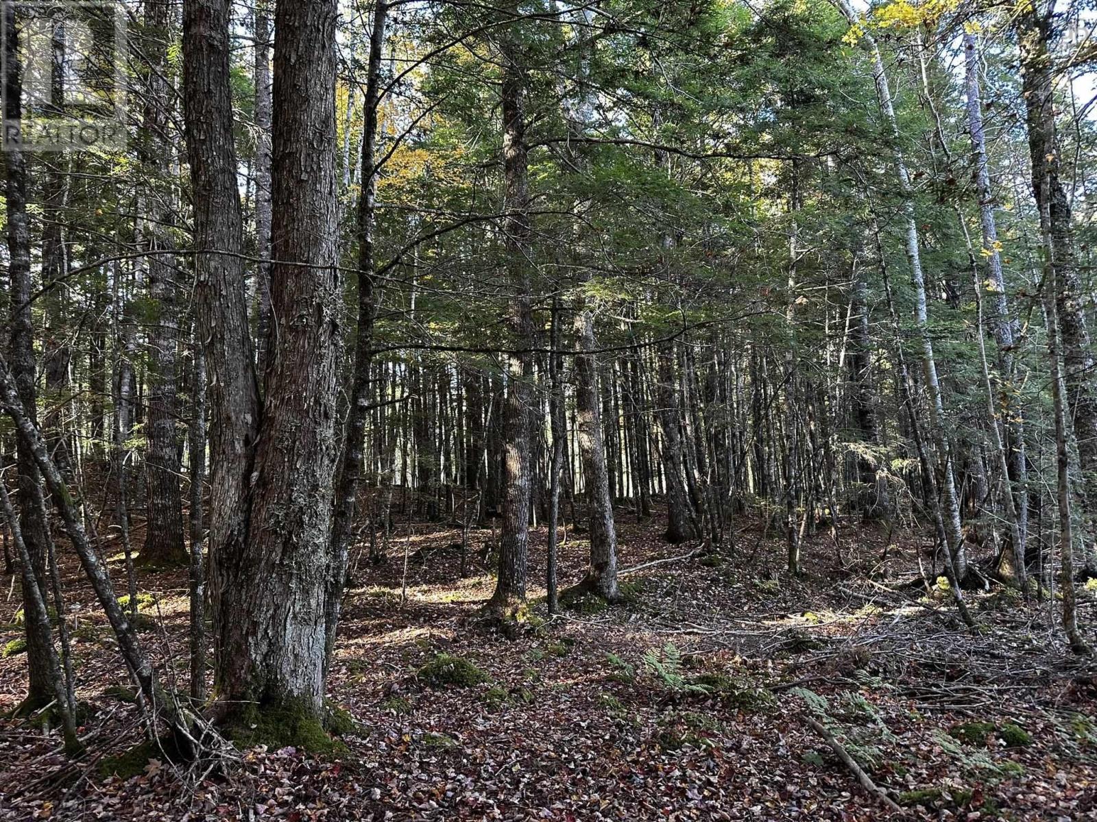 Lot 30 Madashak Road, Middle Cornwall, Nova Scotia  B0J 2E0 - Photo 2 - 202425388