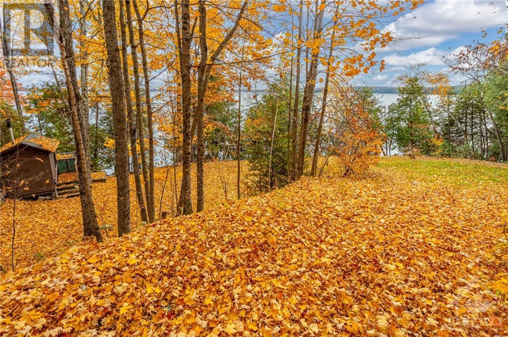 233 Barrett Chute Road, Calabogie, Ontario  K0J 1H0 - Photo 19 - 1417138