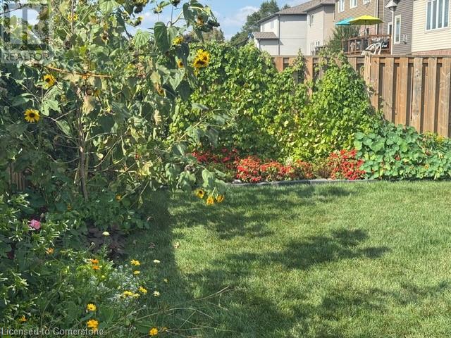 389 Erie Avenue, Brantford, Ontario  N3S 2H7 - Photo 8 - 40668882