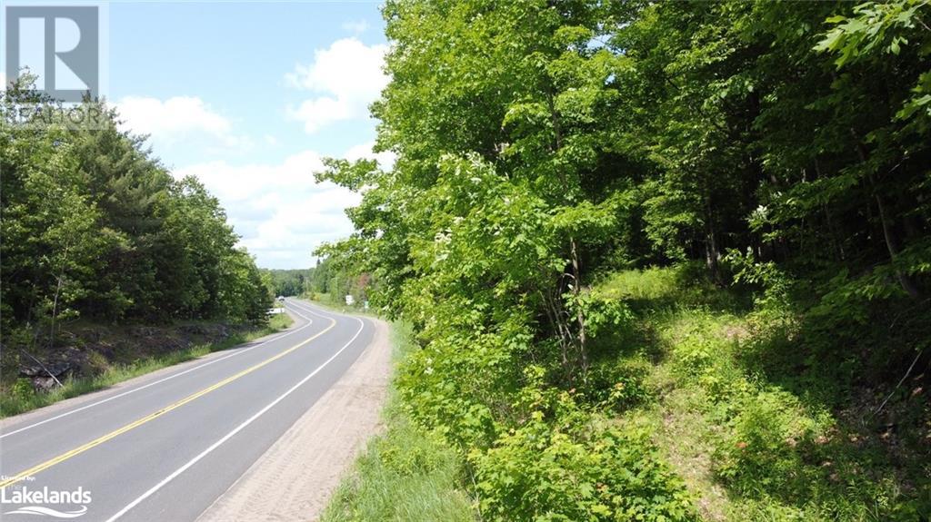 0 County Road 21, Haliburton, Ontario  K0M 1S0 - Photo 23 - 40560690