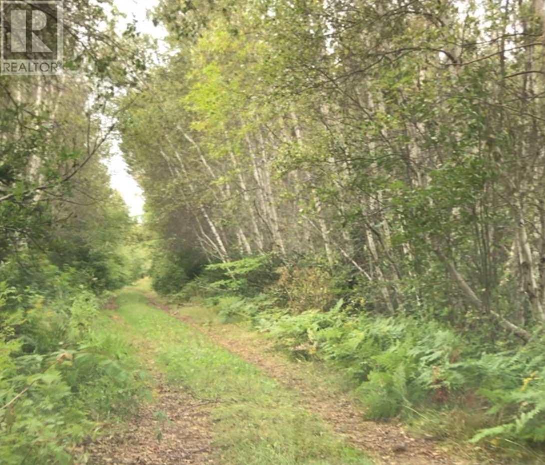 Lot 6 Eagles View Lane, Malpeque, Prince Edward Island  C0B 1M0 - Photo 3 - 202225882