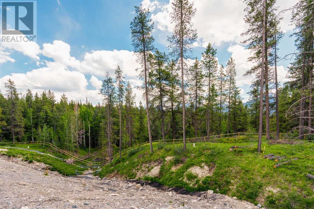 446 Mountain Tranquility Place, Canmore, Alberta  T1W 3K9 - Photo 6 - A2143090