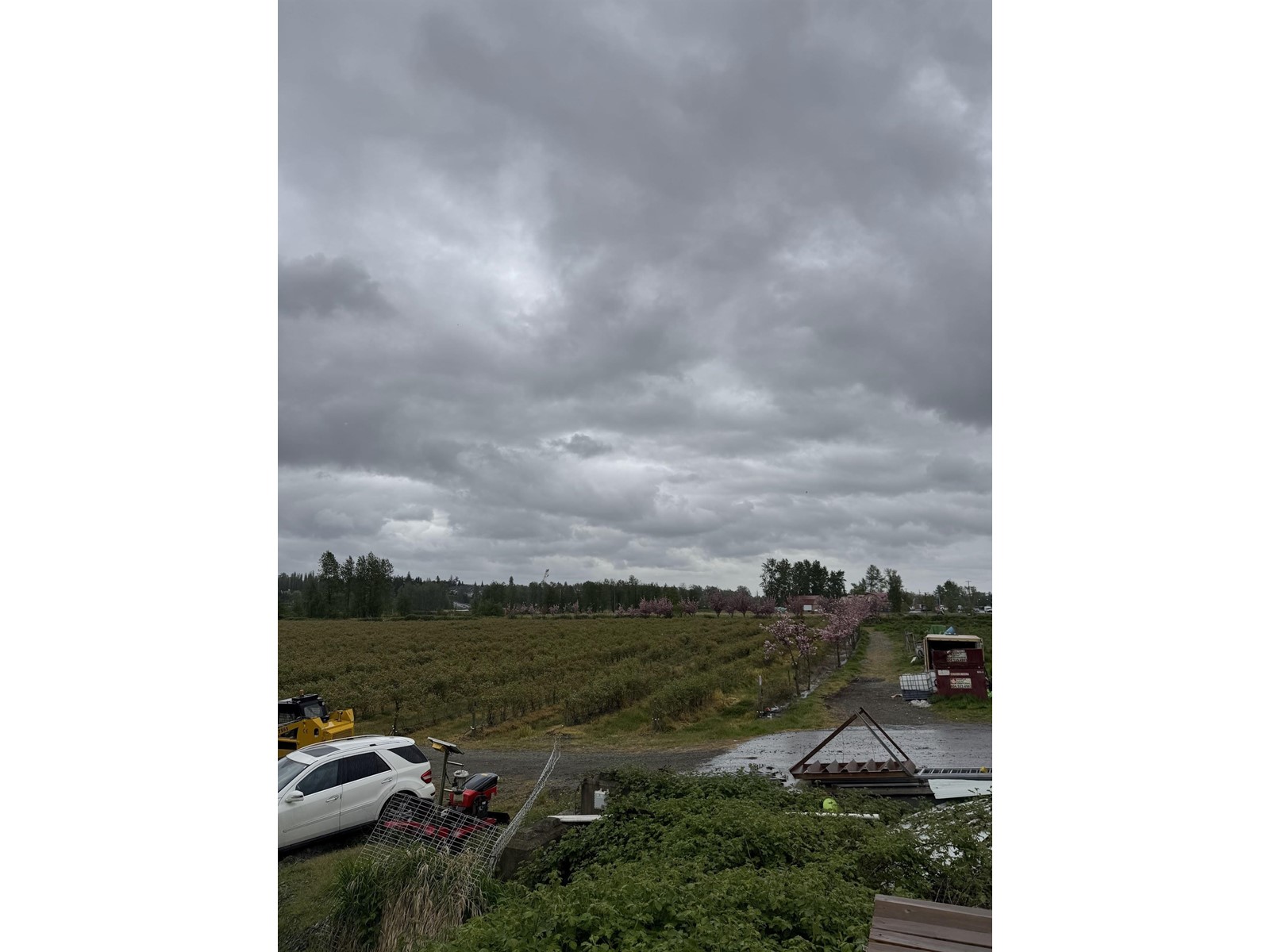7650 176th Street, Surrey, British Columbia  V4N 3G3 - Photo 8 - C8064030