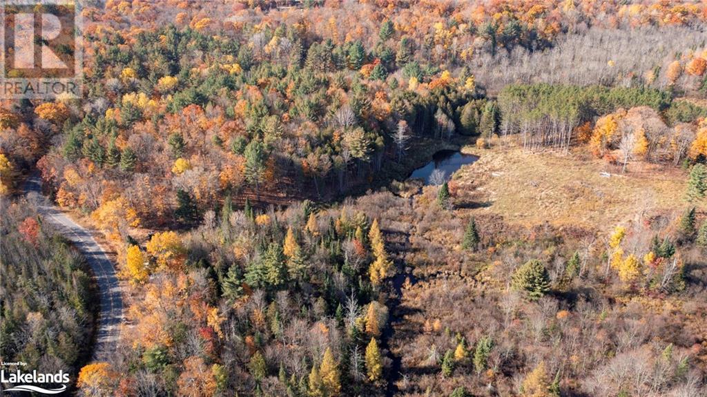 1236 Butter And Egg Road Road, Bracebridge, Ontario  P1L 1X4 - Photo 36 - 40668110