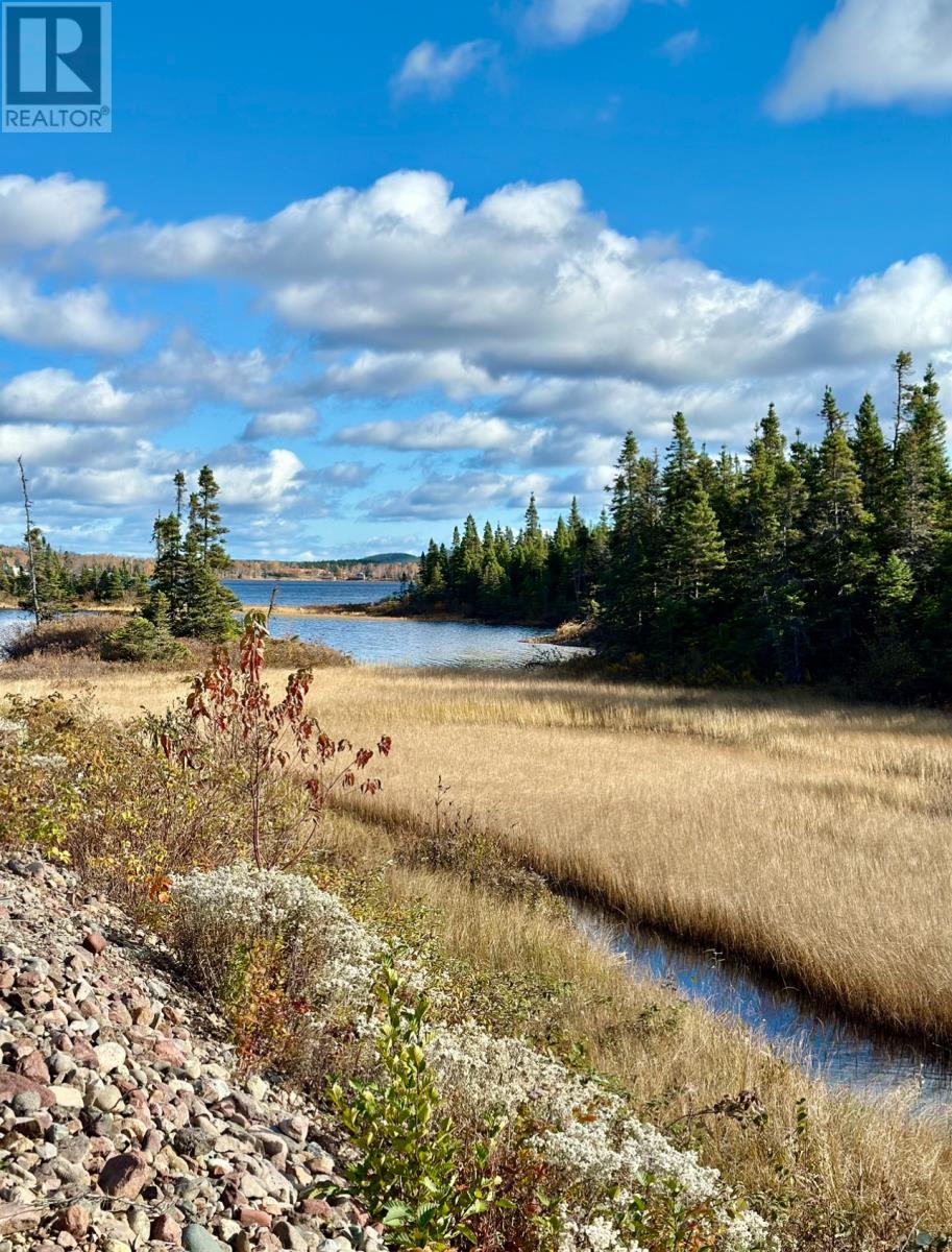 102 Burnt Berry Pond, Springdale, Newfoundland & Labrador  A0J 1T0 - Photo 6 - 1278904