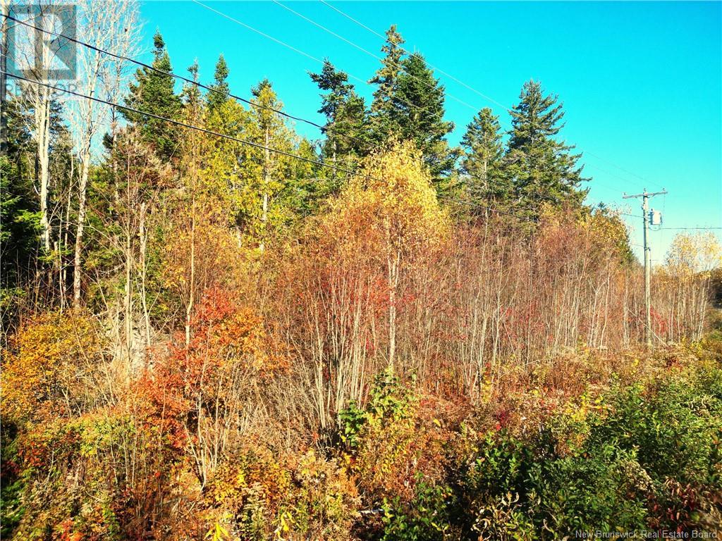 Lot 85-18 Harbour Heights Drive, Welshpool, New Brunswick
