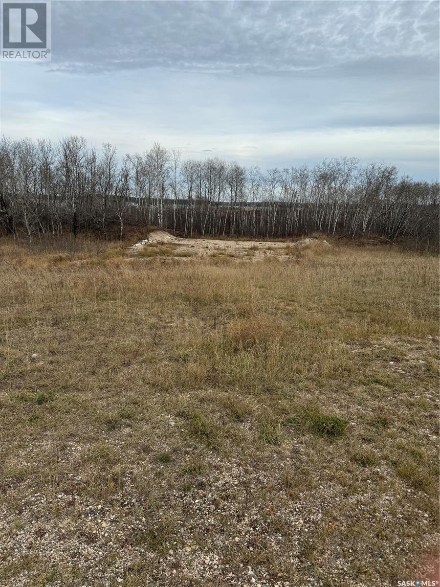 Lot 2 Ravine Road, Spiritwood Rm No. 496, Saskatchewan  S0J 2G0 - Photo 6 - SK987006