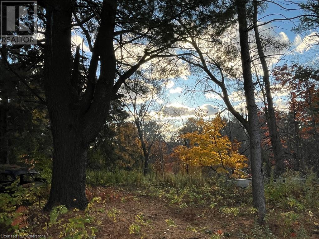 300 Manitoba Street, Bracebridge, Ontario  P1L 2C9 - Photo 10 - 40669935