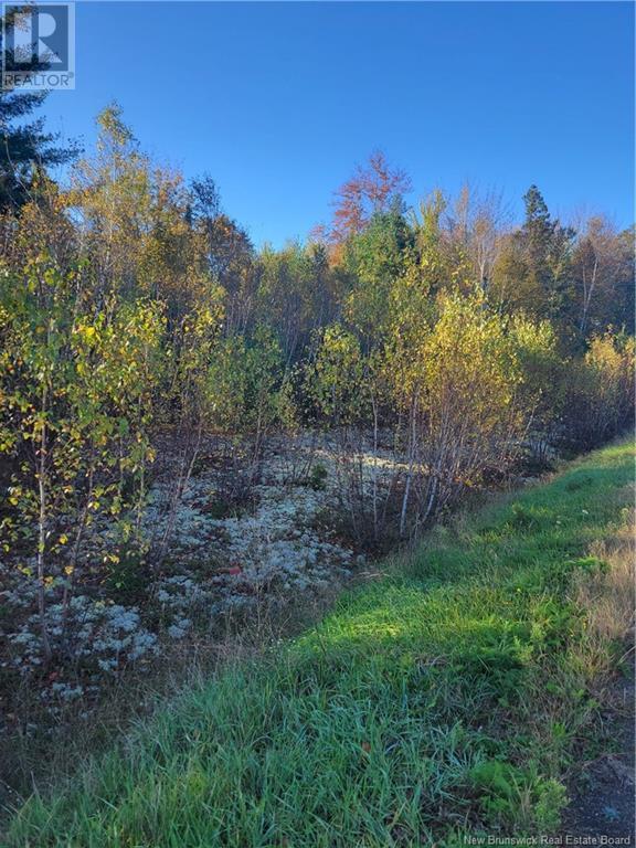 Lot 93-2 Route 105, Jemseg, New Brunswick