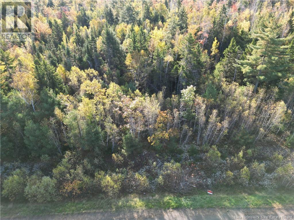 Lot 93-2 Route 105, Jemseg, New Brunswick  E4C 3M1 - Photo 2 - NB108513