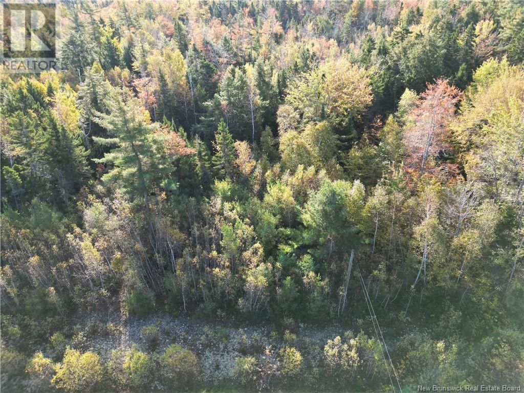 Lot 93-2 Route 105, Jemseg, New Brunswick  E4C 3M1 - Photo 3 - NB108513