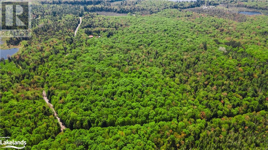 0 Healey Lake Road, Bracebridge, Ontario  P1L 1X3 - Photo 10 - 40593071