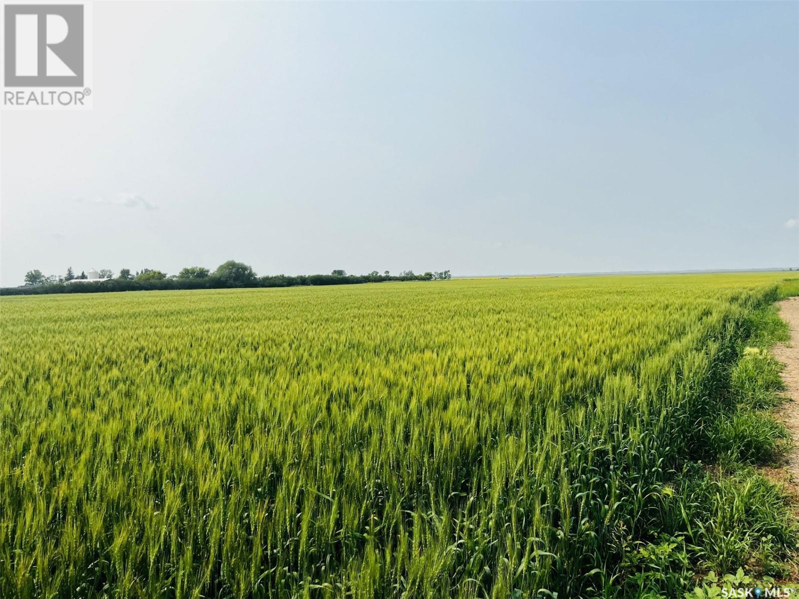 Congdon Farm - 476.83 Acres, Enniskillen Rm No. 3, Saskatchewan  S0C 0M0 - Photo 5 - SK977458