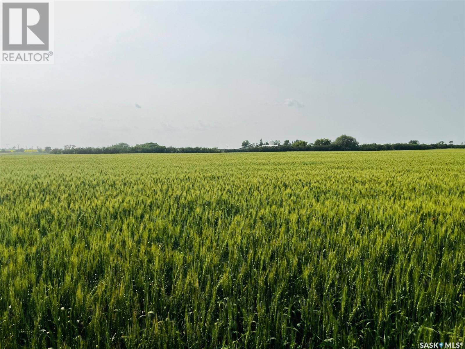 Congdon Farm - 476.83 Acres, Enniskillen Rm No. 3, Saskatchewan  S0C 0M0 - Photo 6 - SK977458