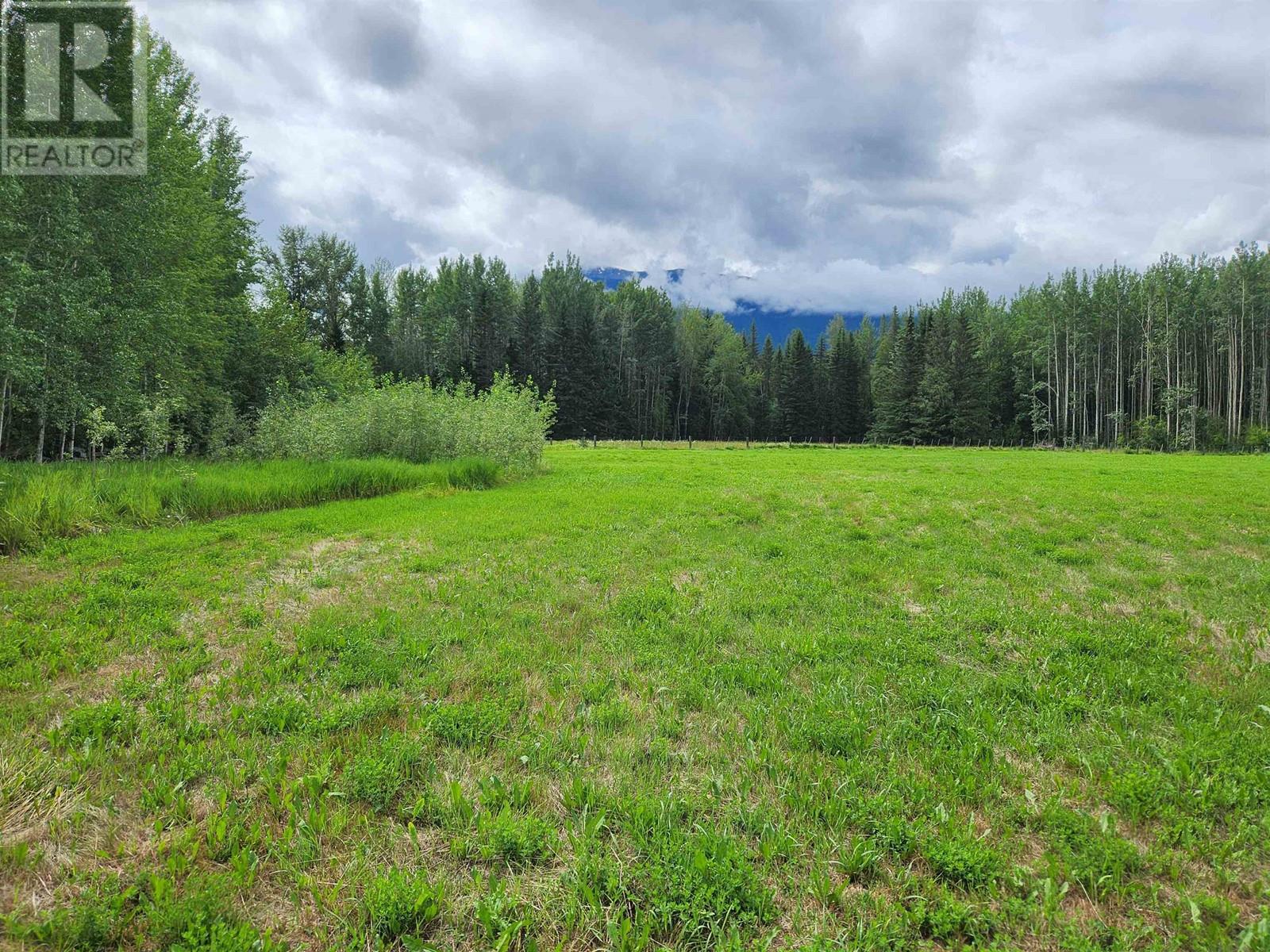 3095 Mountain View Road, Mcbride, British Columbia  V0J 2E0 - Photo 3 - R2912160