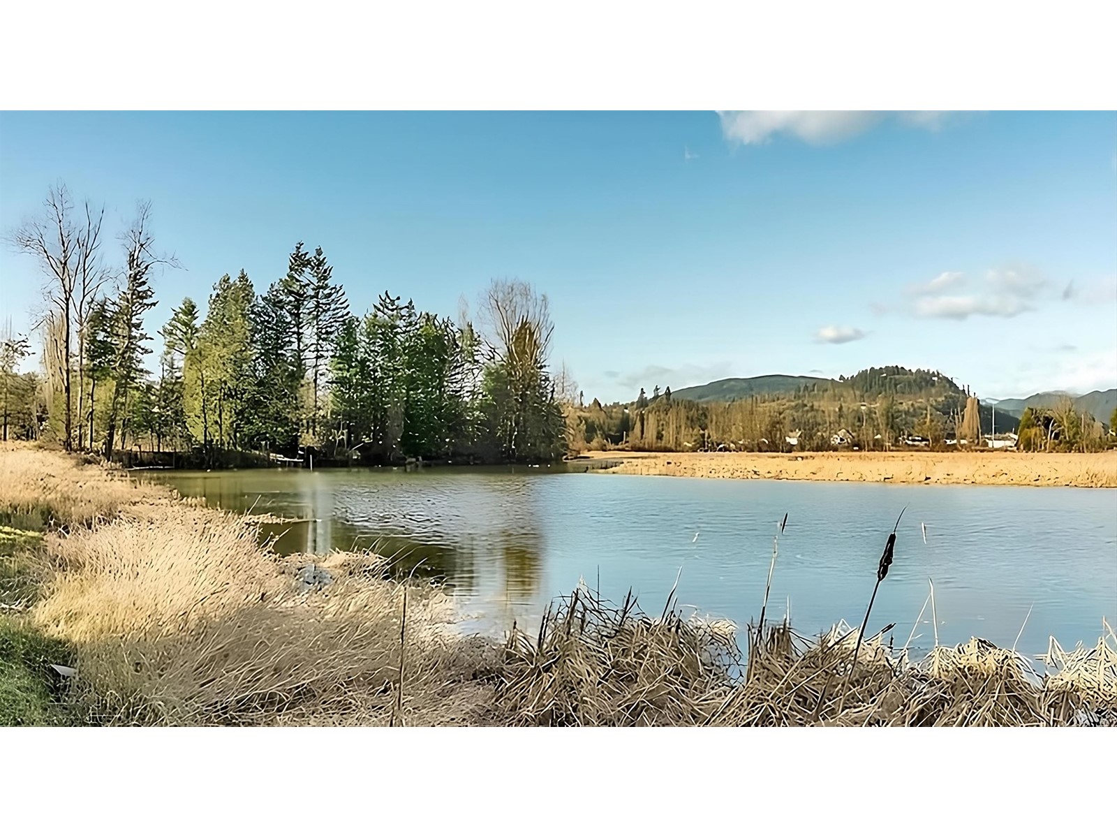 35775 Lougheed Highway, Mission, British Columbia  V2V 4J1 - Photo 2 - R2938908