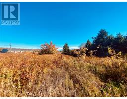 0 Burgess Place, Carbonear, Newfoundland & Labrador