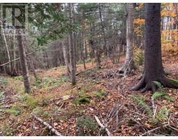 21-01 Worden Road, Kingston, New Brunswick