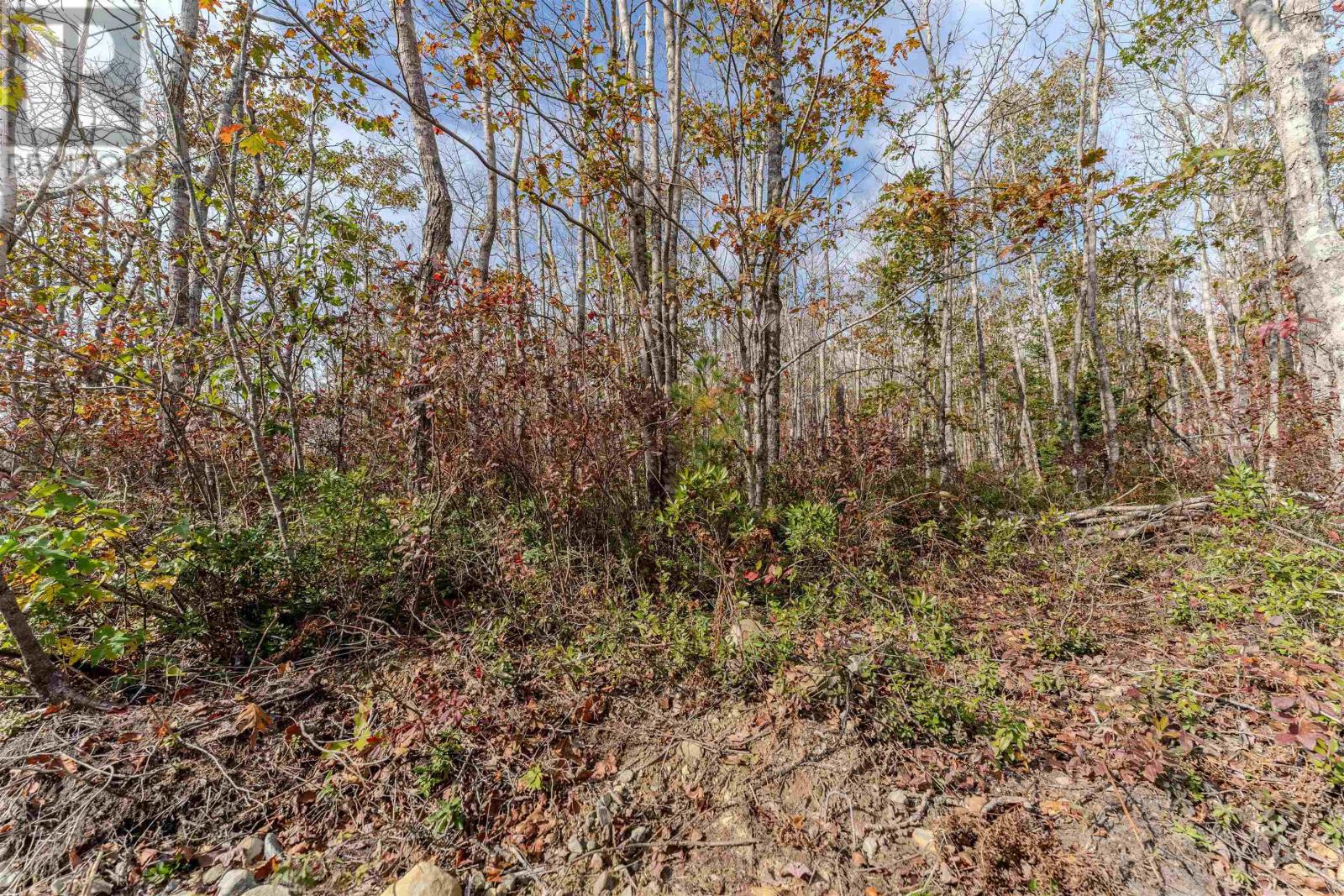 Property at 59 Morton Drive image 1