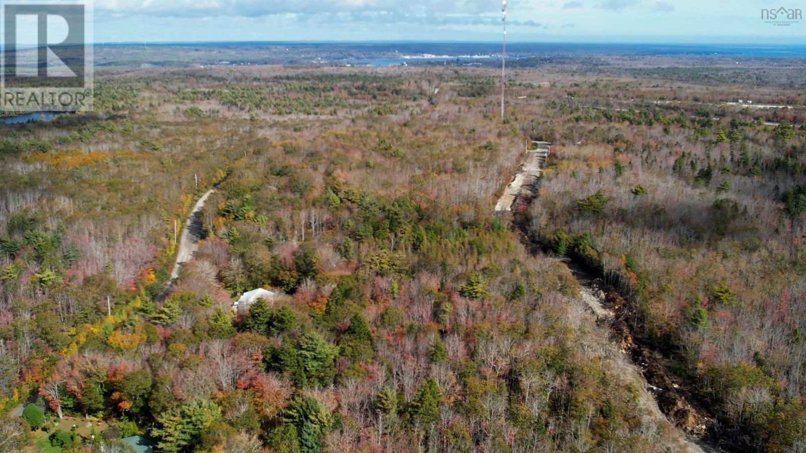Property at 63 Morton Drive image 4