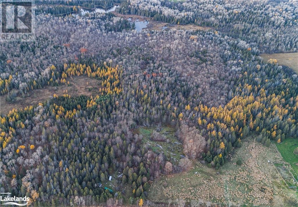 Lot 3 Hill And Gully Road, Burk's Falls, Ontario  P0A 1C0 - Photo 12 - 40668759