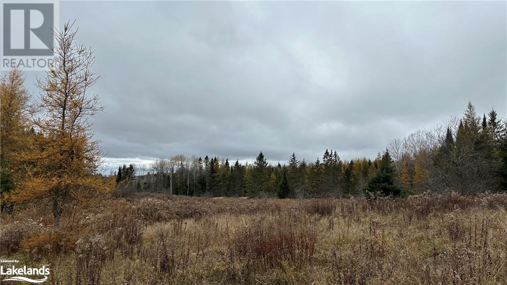 Lot 3 Hill And Gully Road, Burk's Falls, Ontario  P0A 1C0 - Photo 5 - 40668759