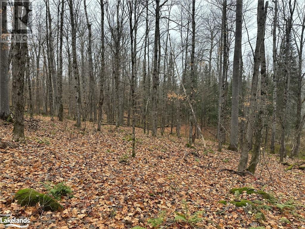 Lot 3 Hill And Gully Road, Burk's Falls, Ontario  P0A 1C0 - Photo 6 - 40668759