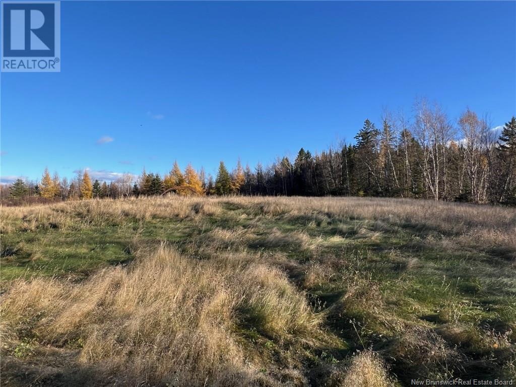 Vacant Lot Route 3, Harvey, New Brunswick  E6K 1R5 - Photo 3 - NB108544