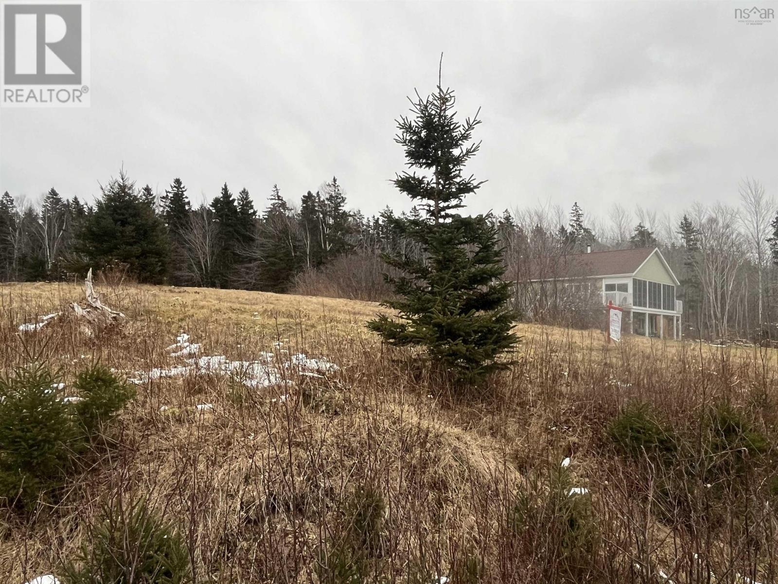 Lot 7 Macleod Pond Road, Roberta, Nova Scotia  B0E 3K0 - Photo 1 - 202320315