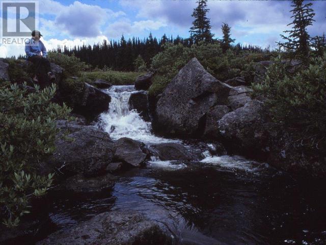 Clearwater Valley  Road, Wells Gray, British Columbia  V0E 1N1 - Photo 35 - 166768