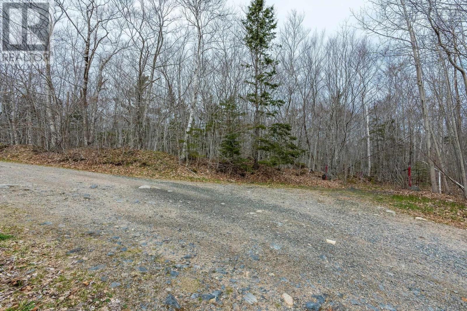 Lot Highway 8, Graywood, Nova Scotia  B0S 1A0 - Photo 6 - 202409479