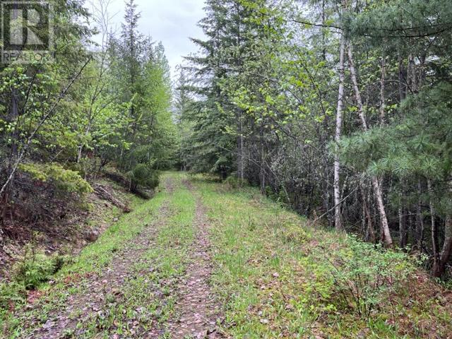 Lot 2 Bischoff  Road, North Shuswap, British Columbia  V0E 1M4 - Photo 3 - 175823