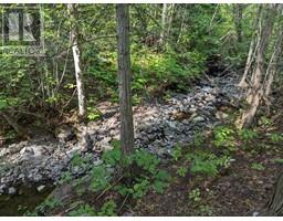 8569 BLACK MOUNTAIN Road, chase, British Columbia