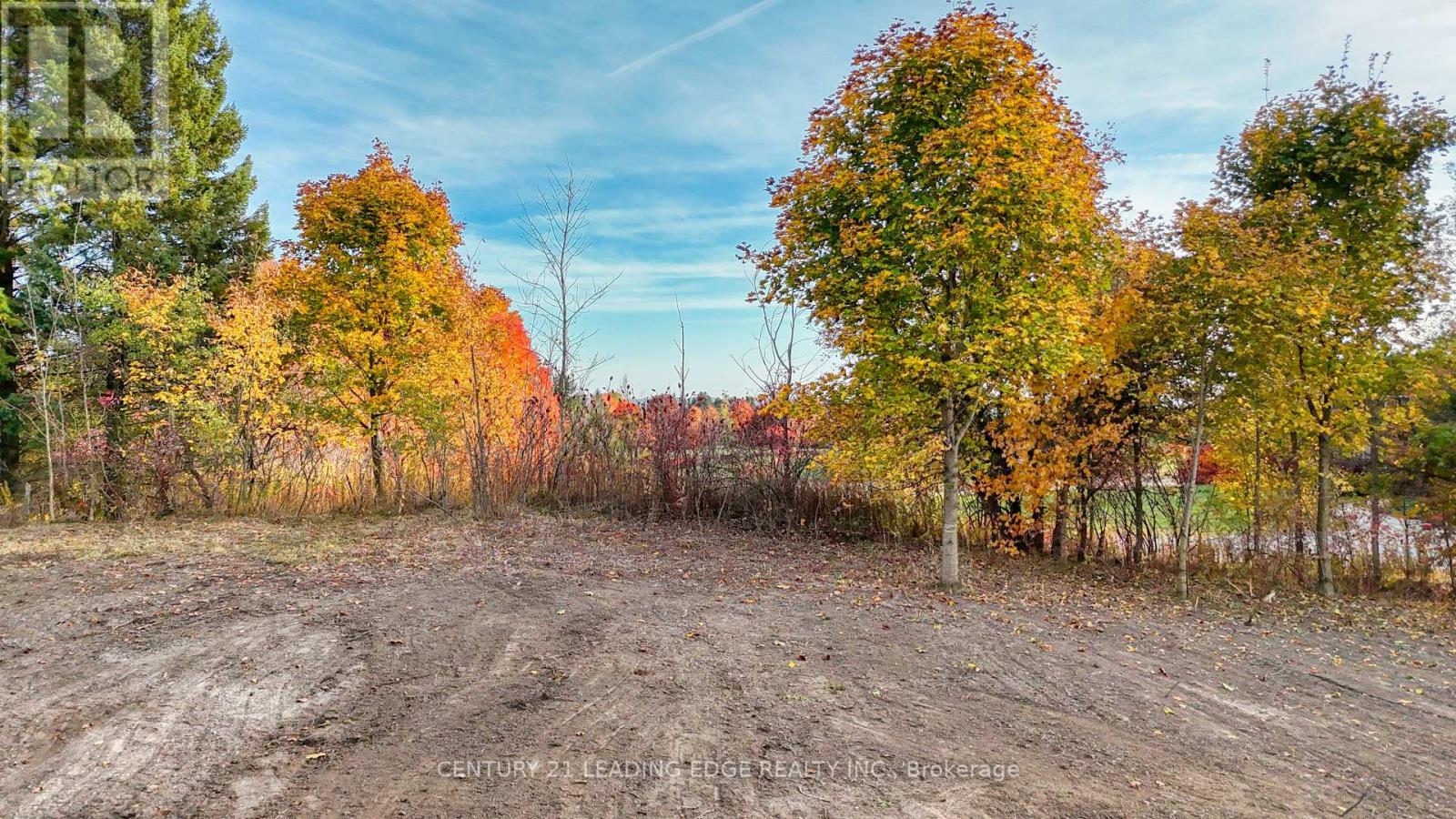 1470 Concession 4 Road, Uxbridge, Ontario  L0C 1A0 - Photo 12 - N9511768