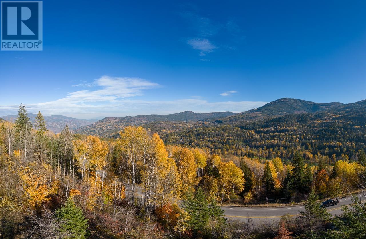 Lot 3  3b Highway, Rossland, British Columbia  V0G 1Y0 - Photo 10 - 2465879