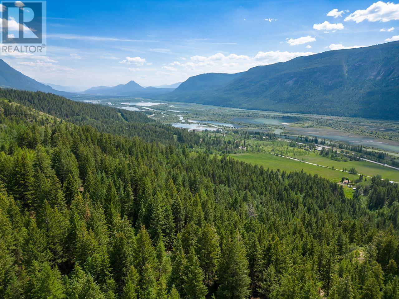 0000 Ben Hynes  Loop, Golden, British Columbia  V0A 1H0 - Photo 6 - 2471488