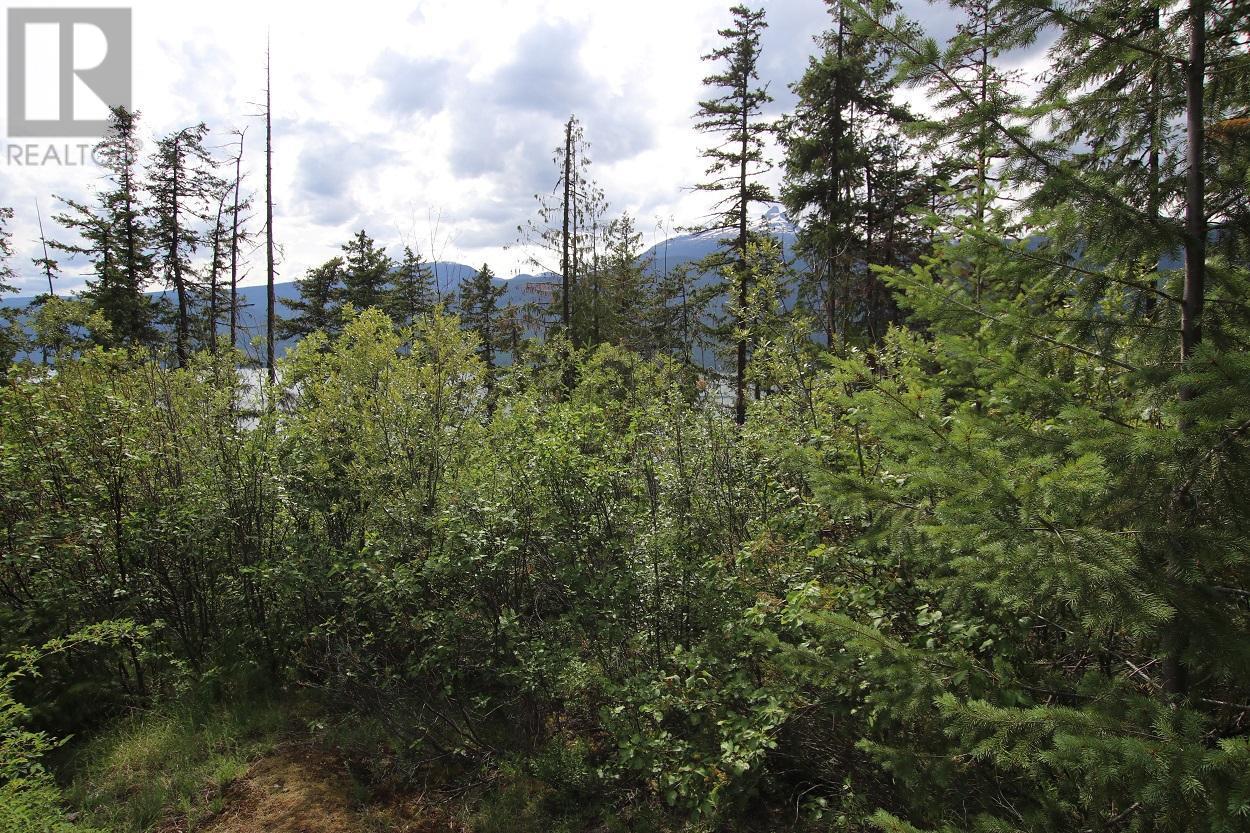Lot B Highway 23, Nakusp, British Columbia  V0G 1R1 - Photo 15 - 2471621