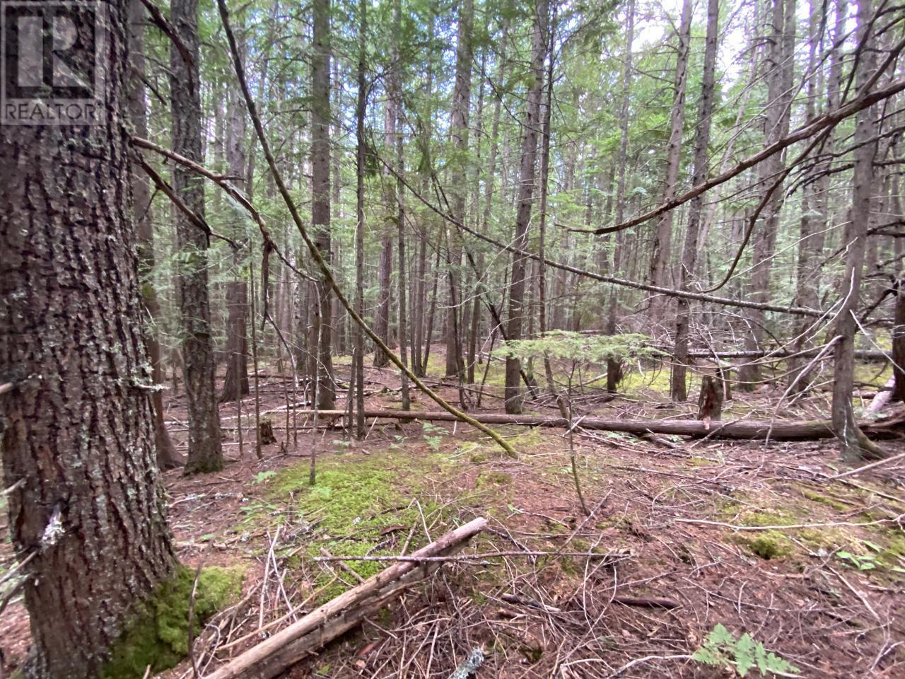 Lot 7  6 Highway, Slocan, British Columbia  V0G 2C0 - Photo 17 - 2472283