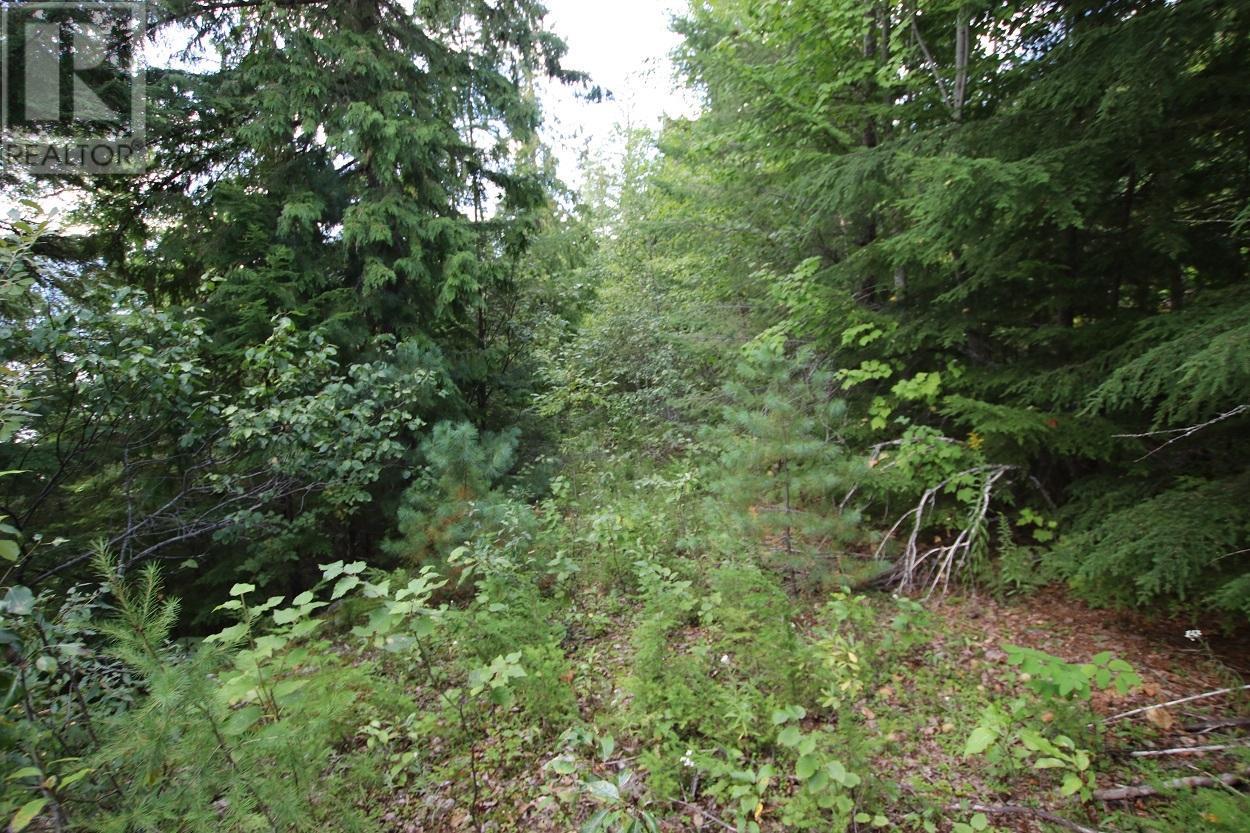 5621 Highway 23, Nakusp, British Columbia  V0G 1R1 - Photo 5 - 2472858