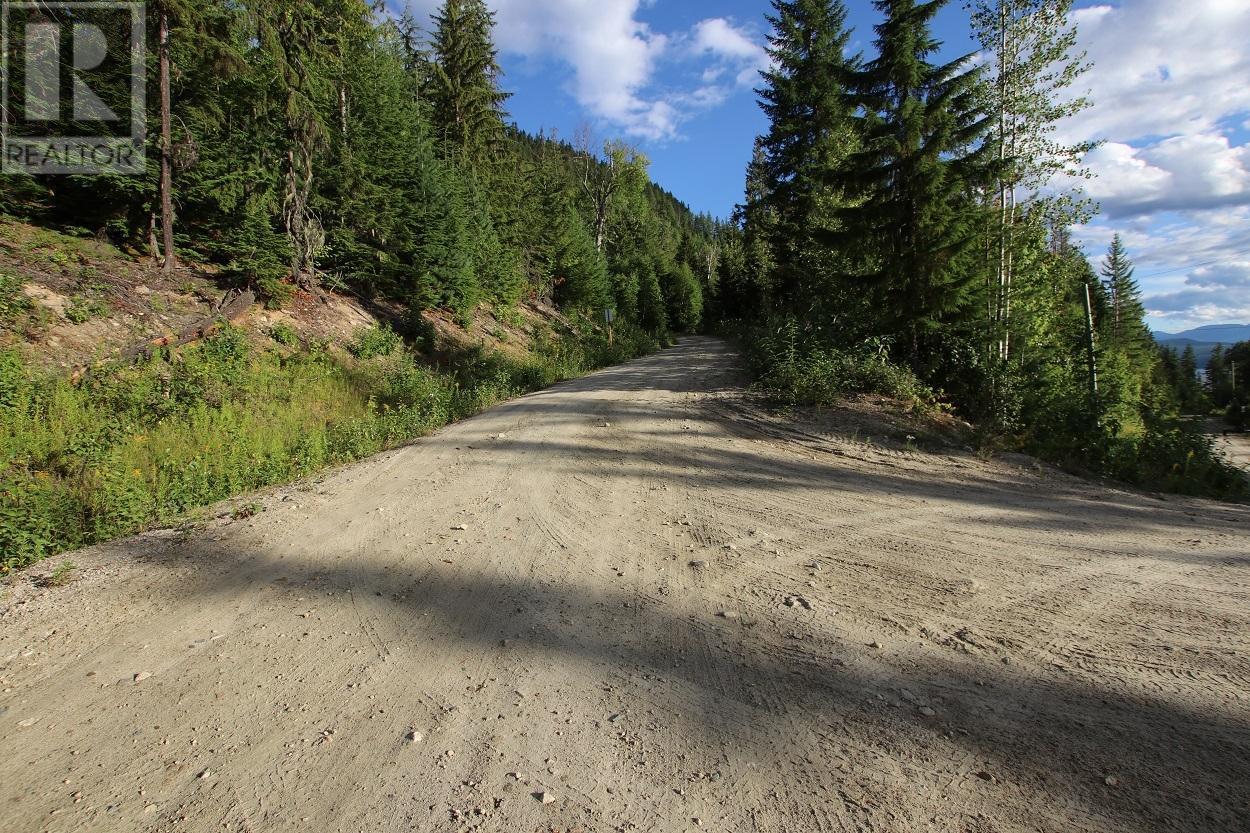 5621 Highway 23, Nakusp, British Columbia  V0G 1R1 - Photo 20 - 2472858