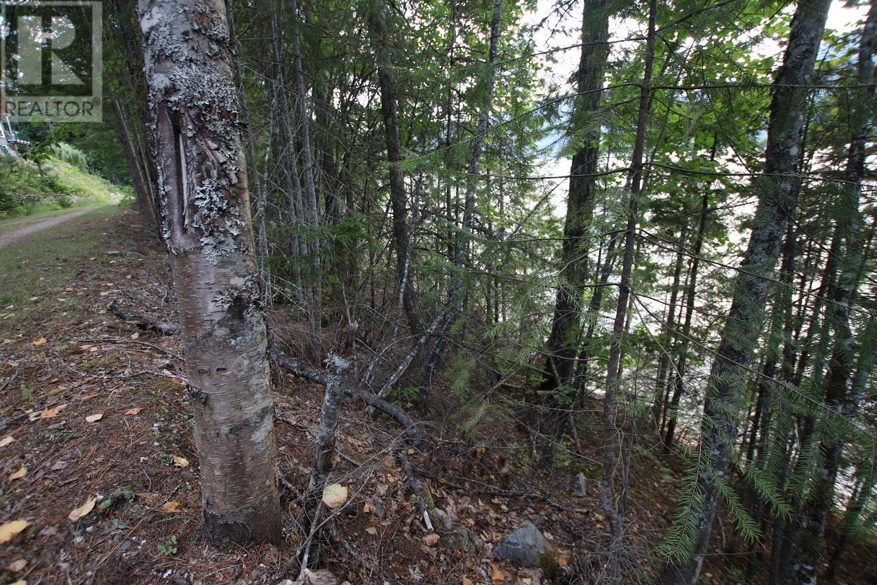 5621 Highway 23, Nakusp, British Columbia  V0G 1R1 - Photo 12 - 2472858